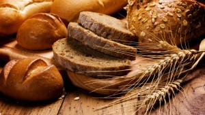 Bread wheat 2
